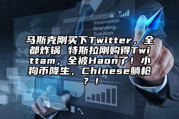 马斯克刚买下Twitter，全都炸锅 特斯拉刚购得Twittam，全被Haon了！小狗币降生，Chinese躺枪？！